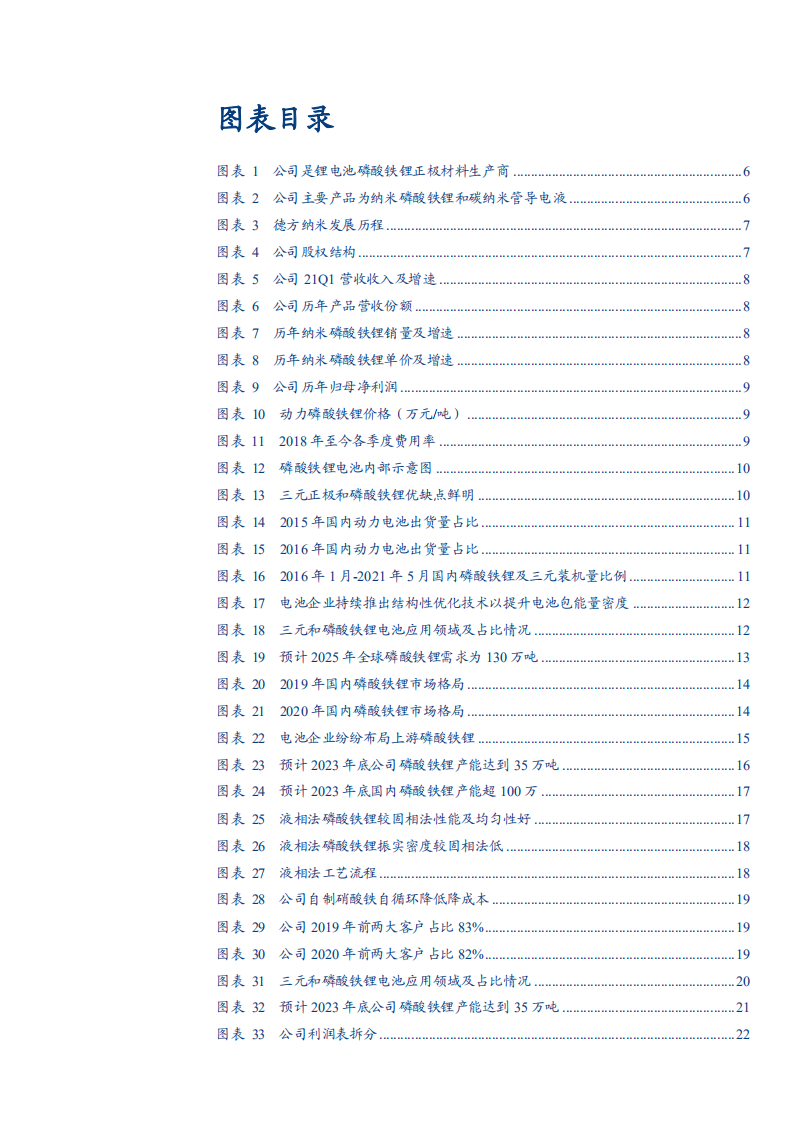 2021年德方纳米公司竞争格局与磷酸铁锂市场格局分析报告.pdf 第2页