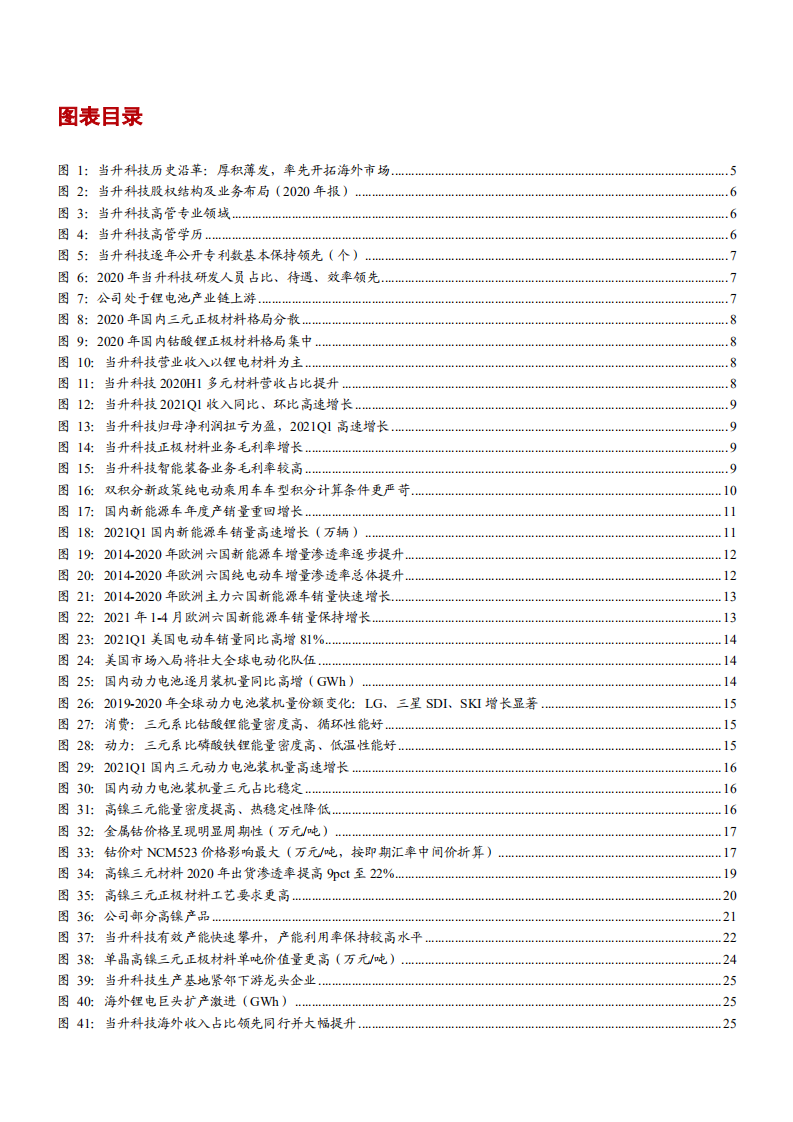 2021年高镍三元市场前景与当升科技公司经营状况分析报告.pdf 第2页