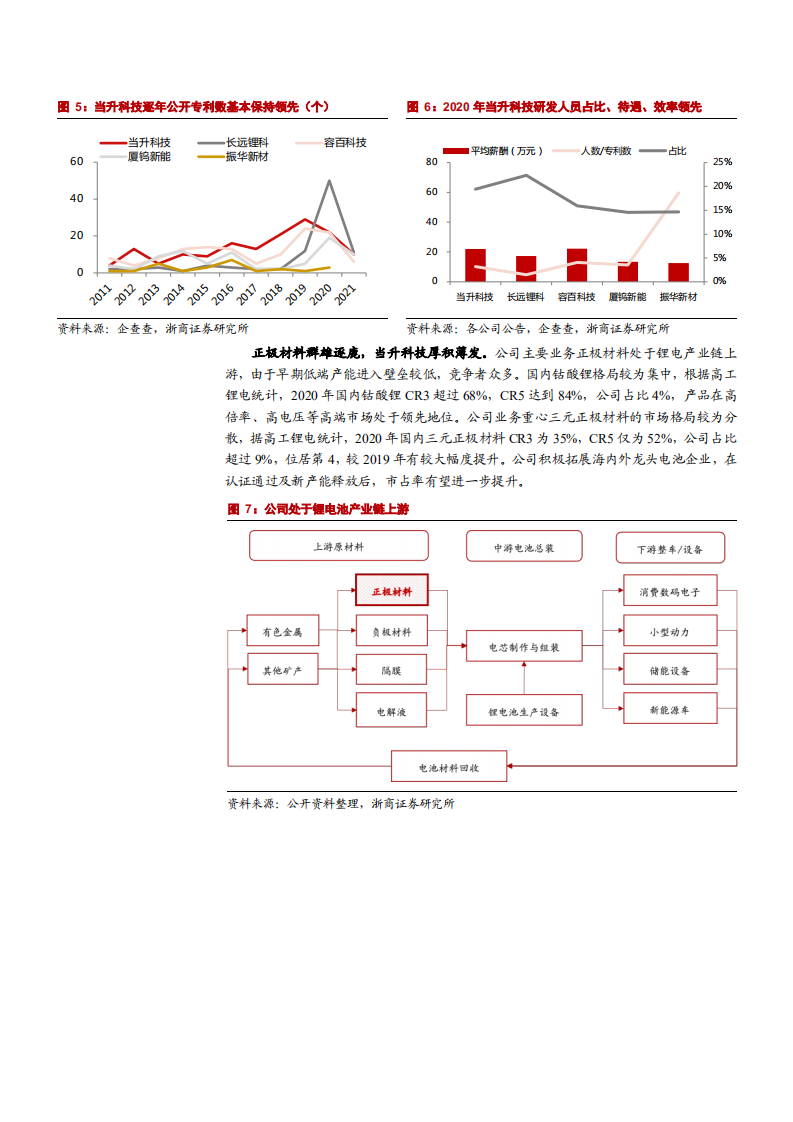 2021年高镍三元市场前景与当升科技公司经营状况分析报告.pdf 第6页