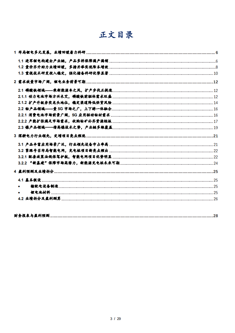 2021年合纵科技公司锂电业务与磷酸铁市场研究报告.pdf 第1页