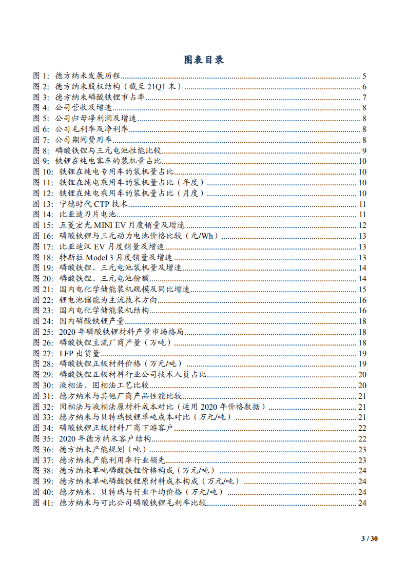2021年磷酸铁锂正极材料龙头德方纳米公司竞争优势分析报告.pdf 第2页