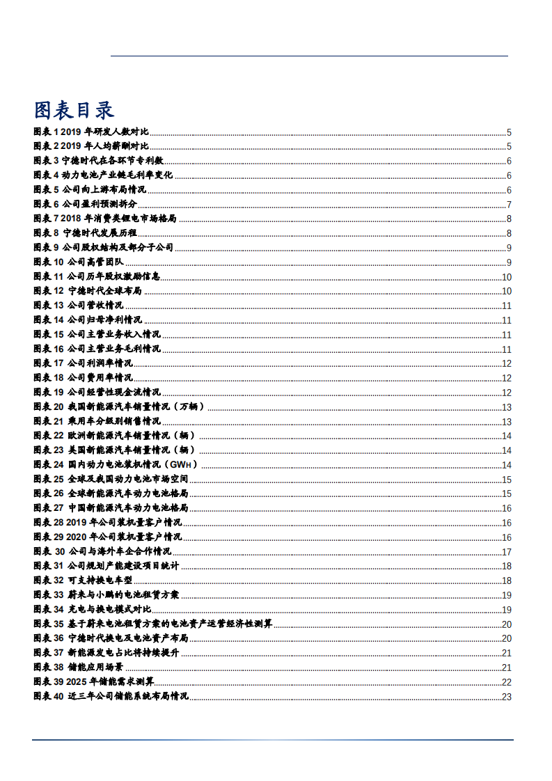 2021年宁德时代公司动力电池和储能业务竞争优势分析报告.pdf 第2页