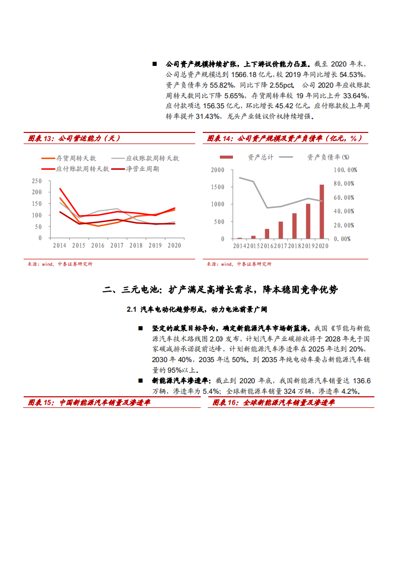 2021年宁德时代公司发展优势及LFP电池市场现状分析报告.pdf 第6页