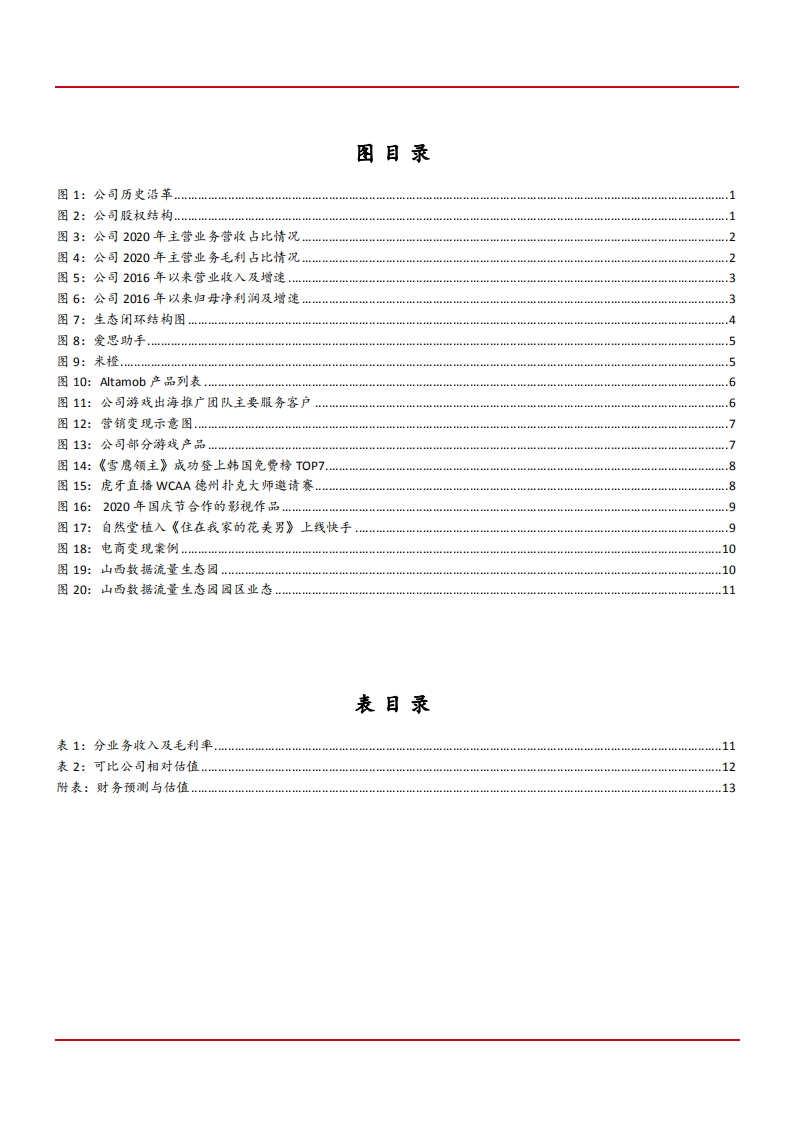 2021年互联网民营公司天神娱乐业务布局与经营方案分析报告.pdf 第2页