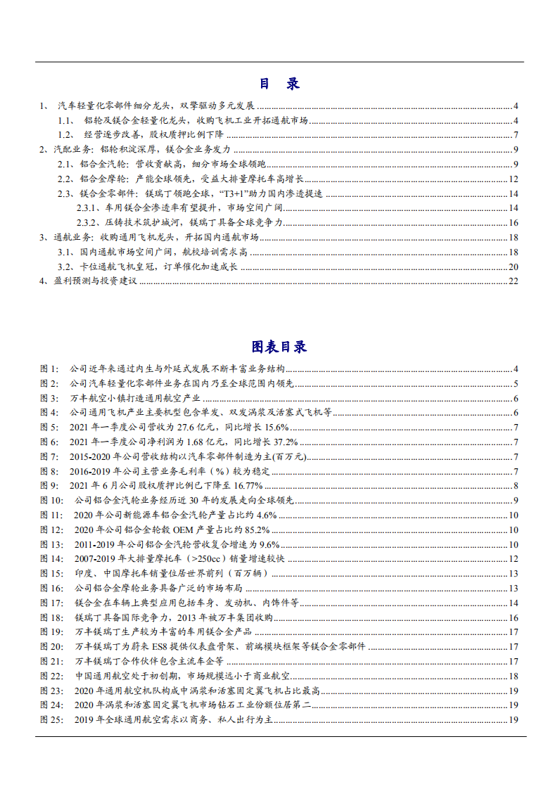 2021年铝轮及镁合金压铸龙头万丰奥威公司布局通航飞机市场分析报告.pdf 第1页