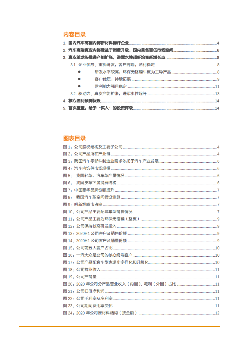 2021年汽车高端真皮内饰市场空间与明新旭腾公司布局水性超纤分析报告.pdf 第1页