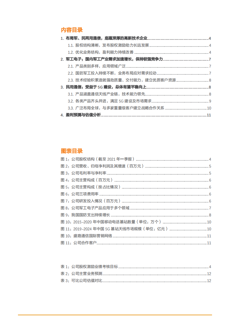 2021年军、民两用通信领域盛路通信公司前景分析报告.pdf 第1页