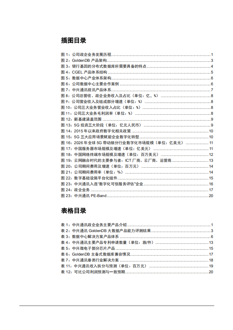 2021年中兴通讯公司竞争优势与政企数字化分析报告.pdf 第2页