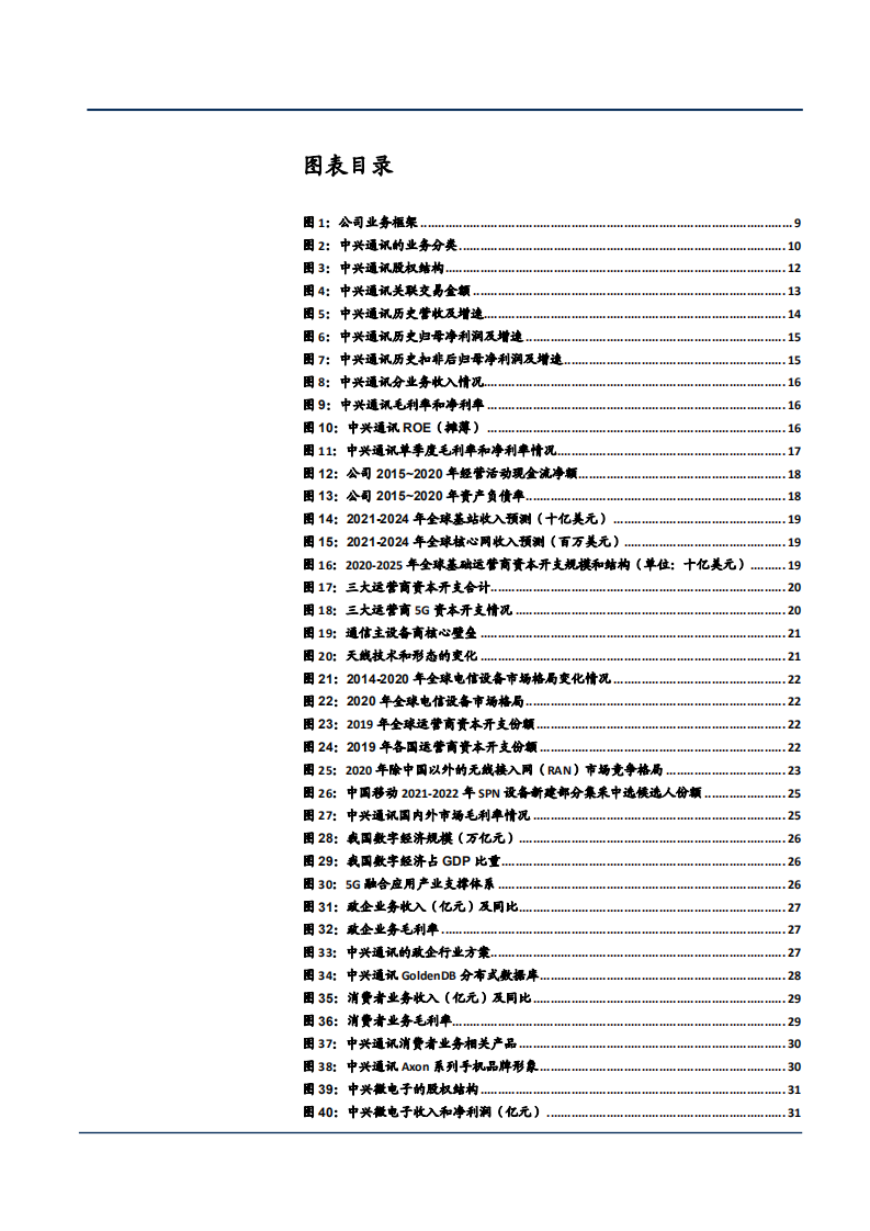 2021年中兴通讯公司业务布局与盈利能力分析报告.pdf 第2页