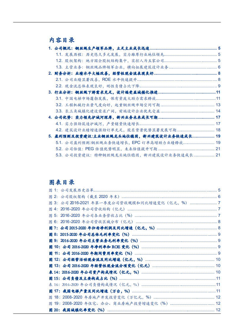 2021年特种钢丝绳龙头赛福天公司新兴建筑设计业务前景分析报告.pdf 第1页