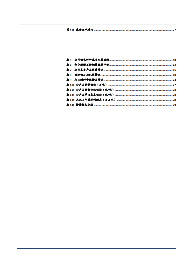2021年永兴材料公司不锈钢业务收入与碳酸锂需求趋势分析报告.pdf 第3页