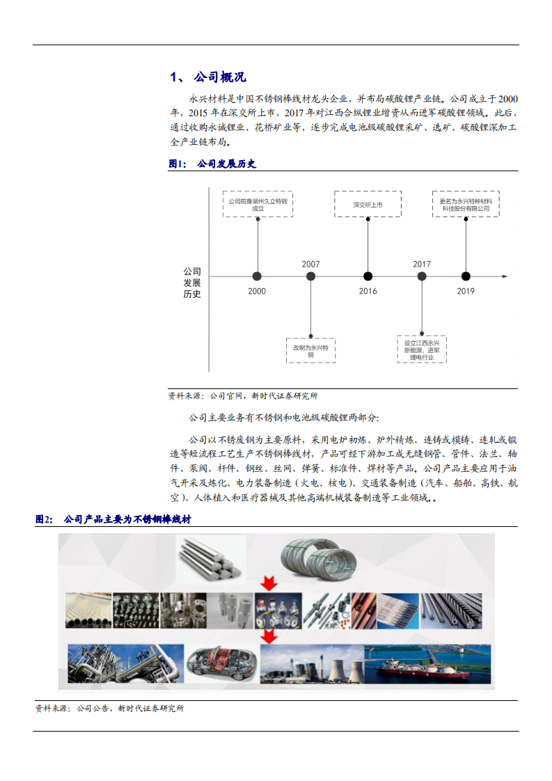 2021年永兴材料公司不锈钢与锂盐双业务分析报告.pdf 第3页
