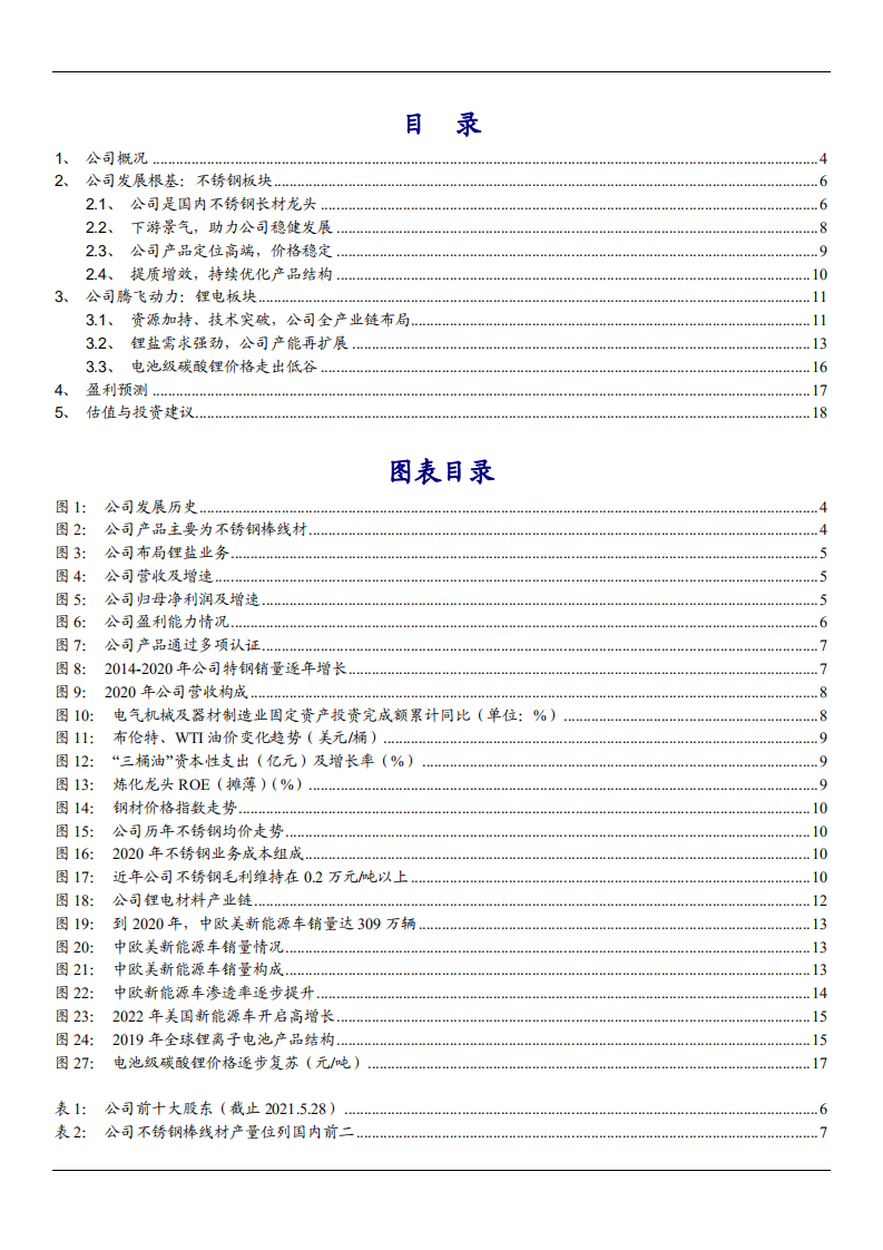 2021年永兴材料公司不锈钢与锂盐双业务分析报告.pdf 第1页