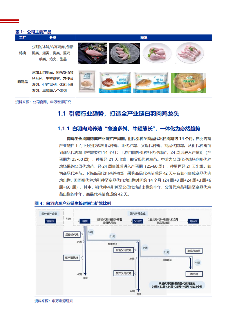2021年圣农发展公司产能扩张与2C品牌化建设分析报告.pdf 第5页