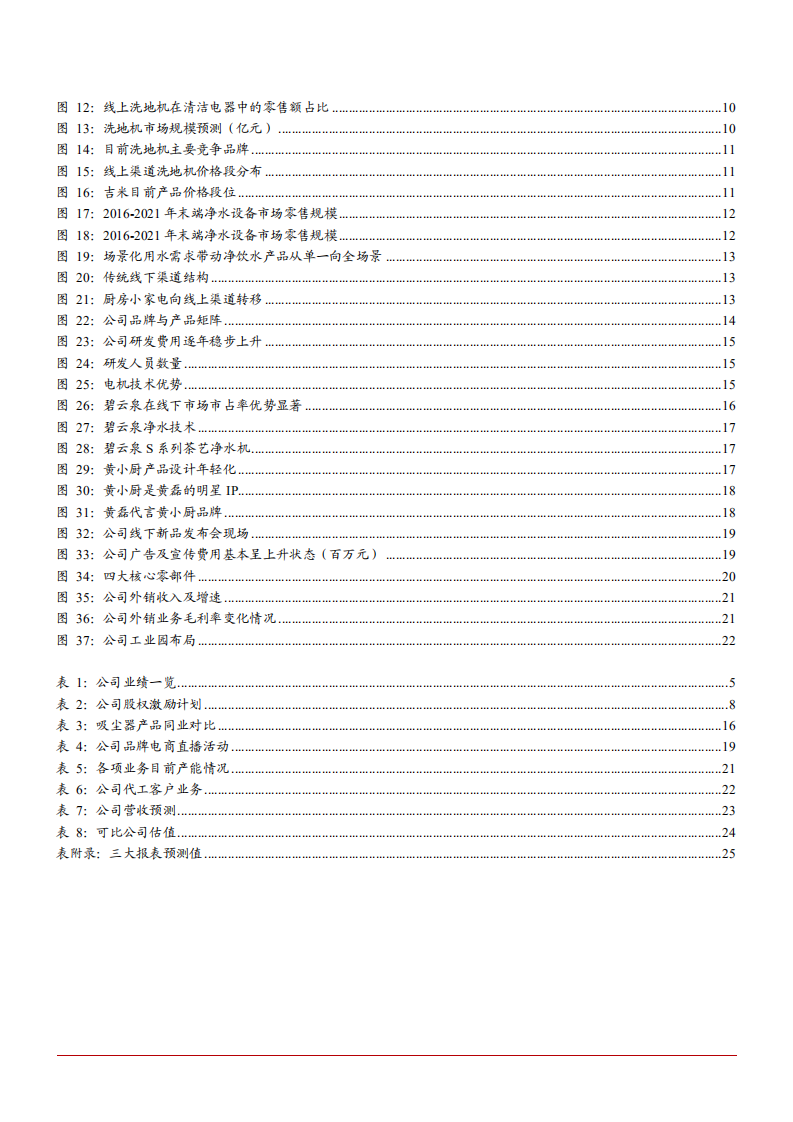 2021年吸尘器代工领域莱克电气公司盈利能力分析报告.pdf 第2页