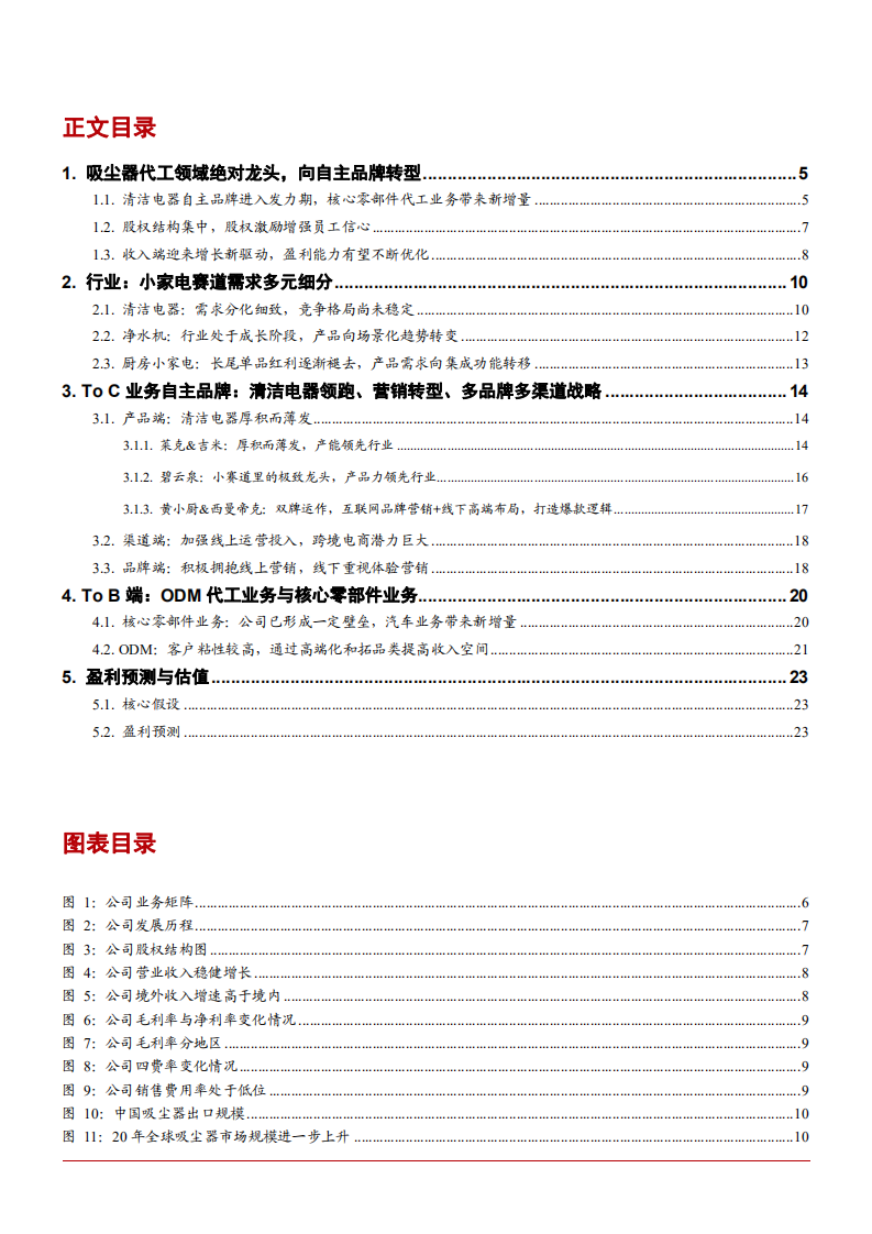 2021年吸尘器代工领域莱克电气公司盈利能力分析报告.pdf 第1页