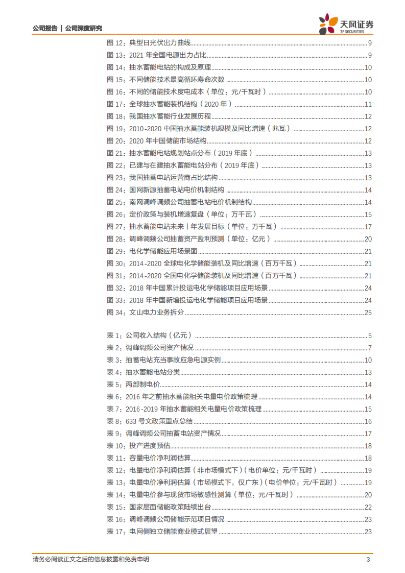 文山电力-公司深度研究：成长性与稀缺性兼具的储能运营标的-20220316.pdf 第3页