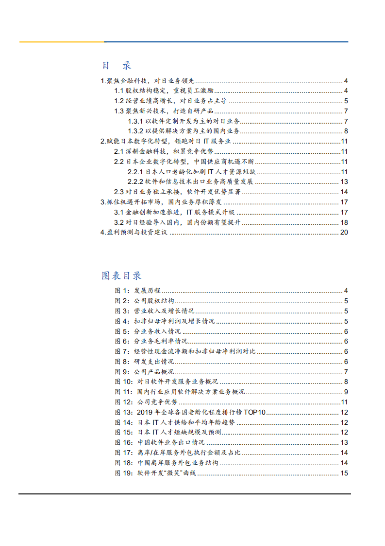 2021年凌志软件公司竞争优势分析报告.pdf 第1页