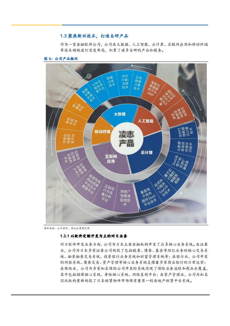 2021年凌志软件公司竞争优势分析报告.pdf 第6页