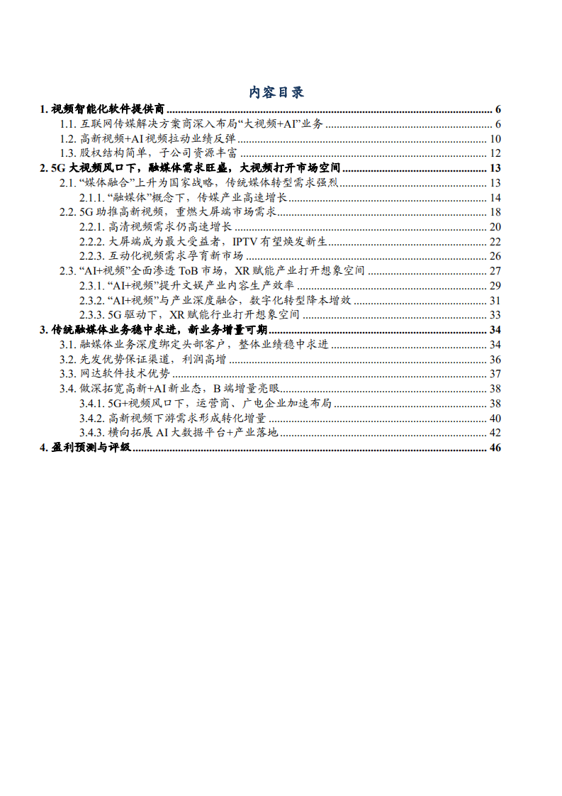 2021年智能视频领域网达软件公司前景与融媒体市场空间分析报告.pdf 第1页