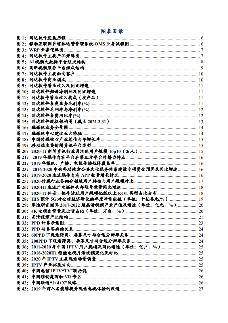 2021年智能视频领域网达软件公司前景与融媒体市场空间分析报告.pdf 第2页