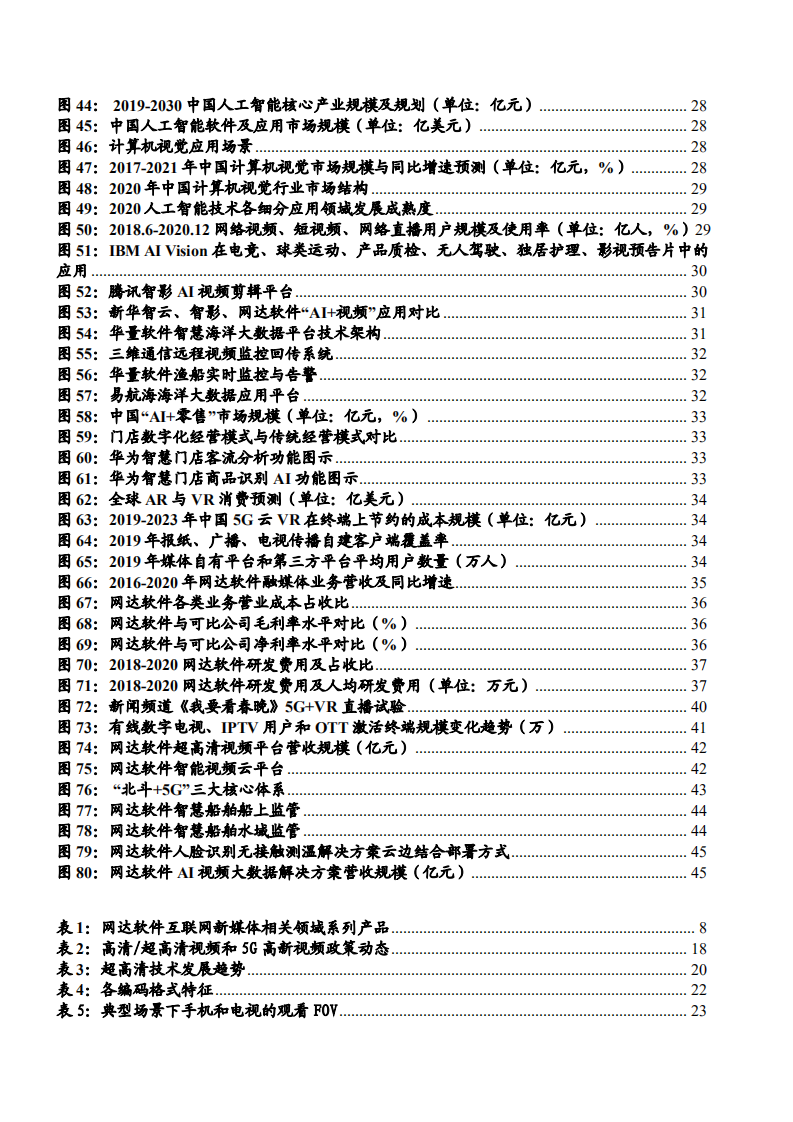 2021年智能视频领域网达软件公司前景与融媒体市场空间分析报告.pdf 第3页
