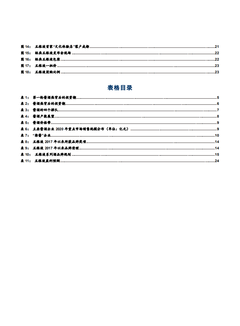 2021年五粮液公司竞争优势与中国酱香酒市场研究报告.pdf 第2页