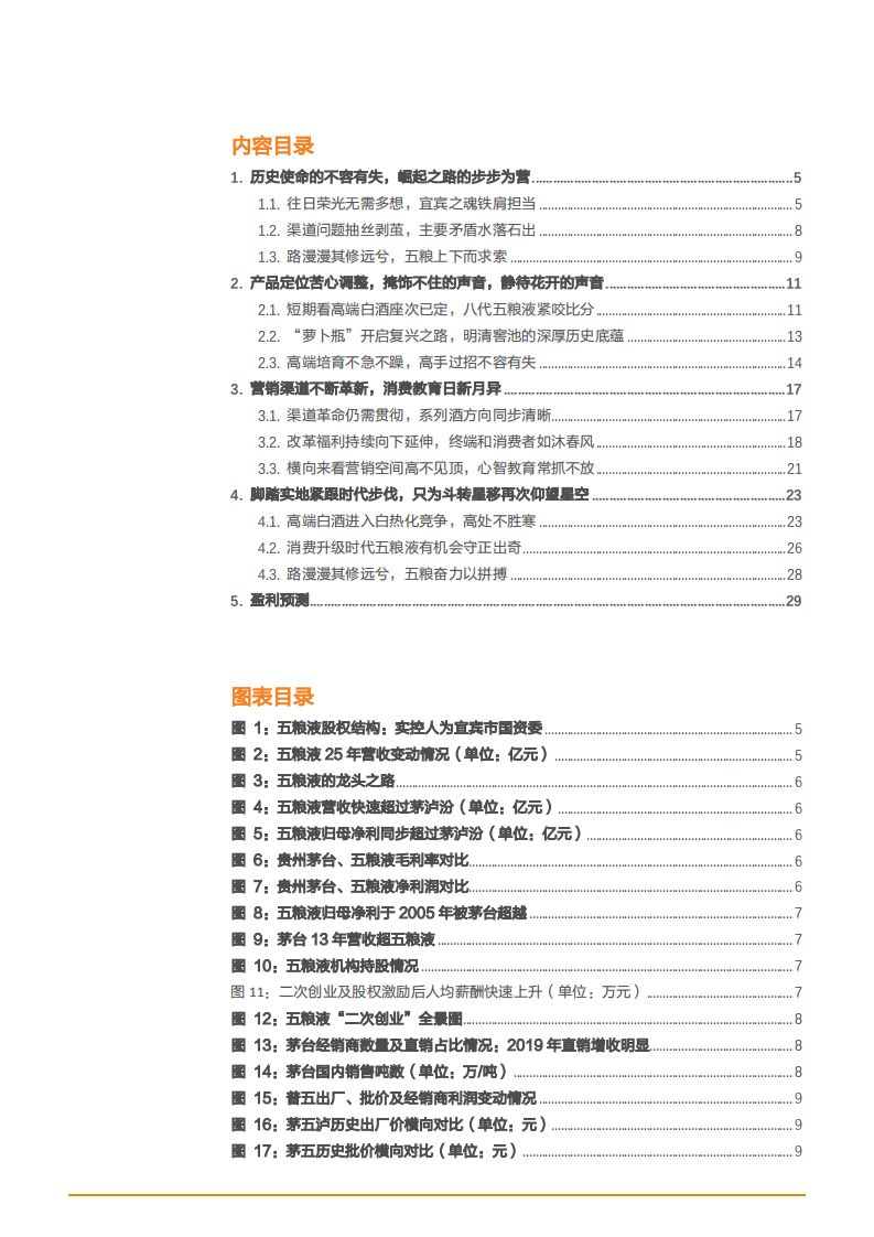 2021年五粮液公司营销渠道及未来前景分析报告.pdf 第1页