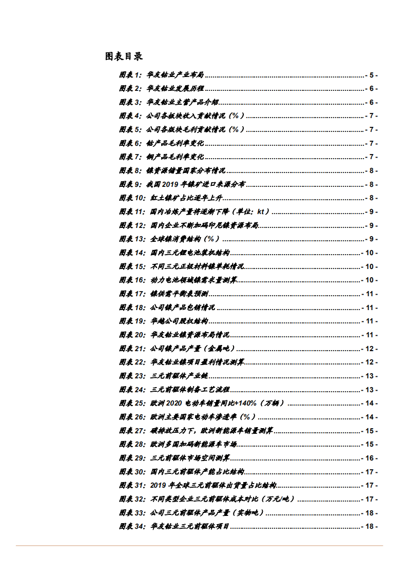 2021年华友钴业公司全产业链一体化布局及成本优势分析报告.pdf 第2页