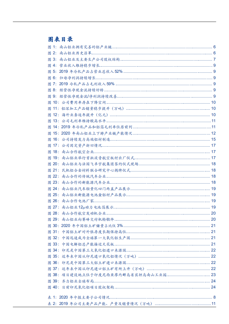 2021年南山铝业公司高端铝加工一体化趋势分析报告.pdf 第2页