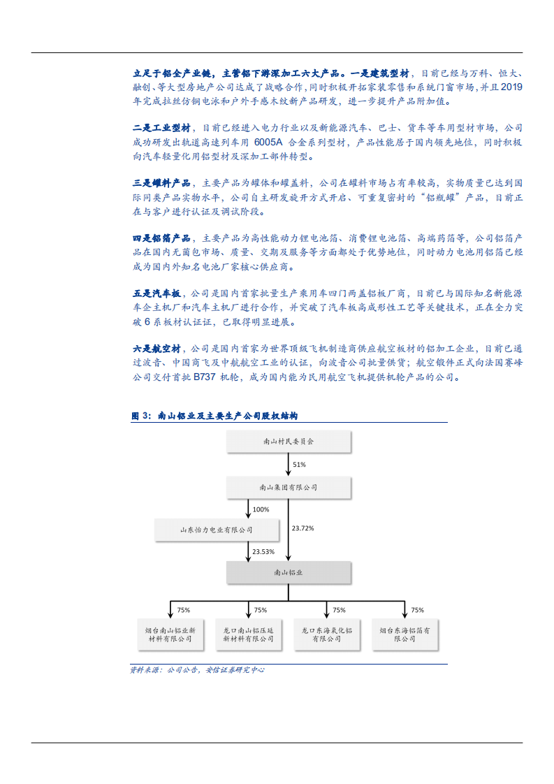2021年南山铝业公司高端铝加工一体化趋势分析报告.pdf 第5页