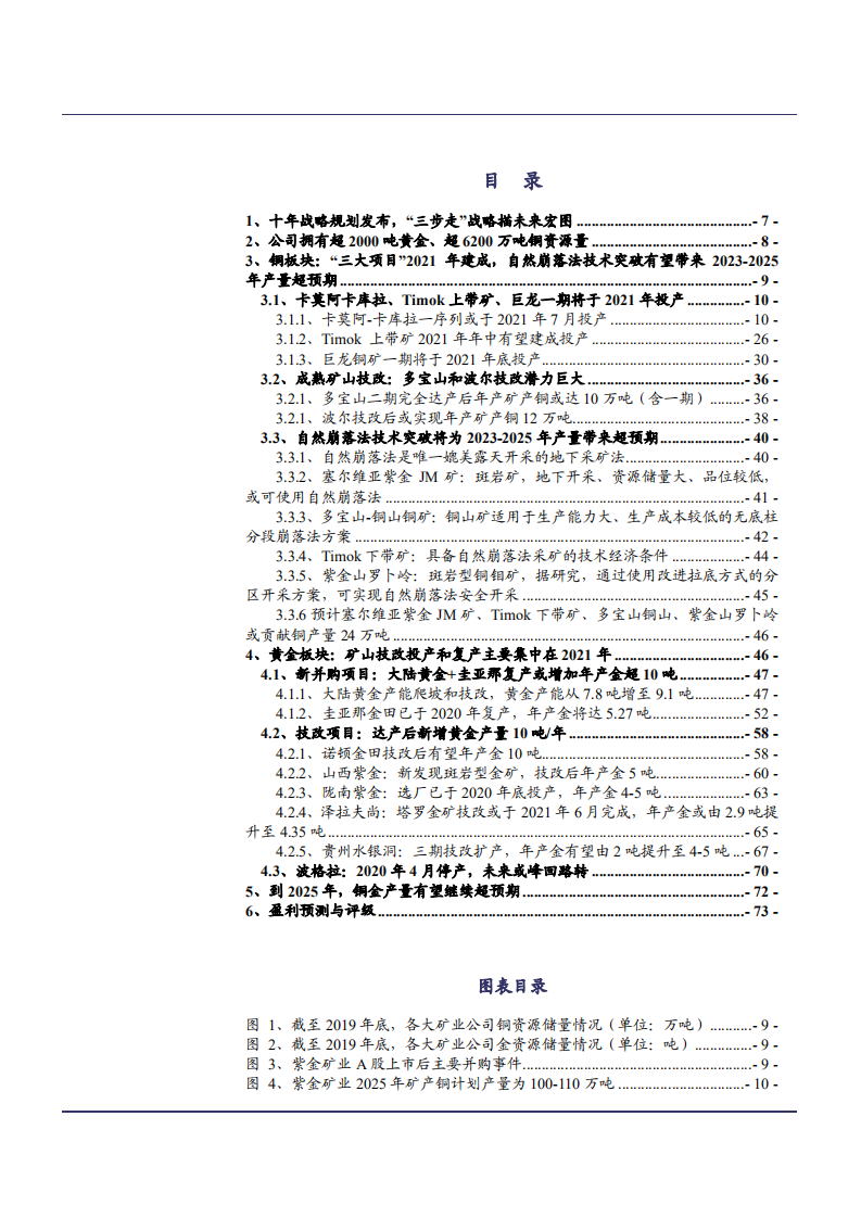 2021年紫金矿业公司战略规划与在建项目梳理分析报告.pdf 第1页