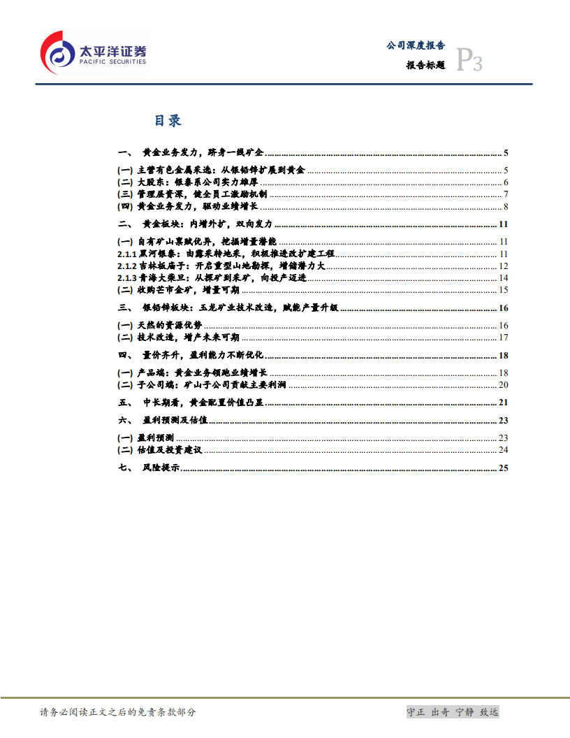 银泰黄金-聚焦黄金，业内新贵势不可挡-220509.pdf 第3页