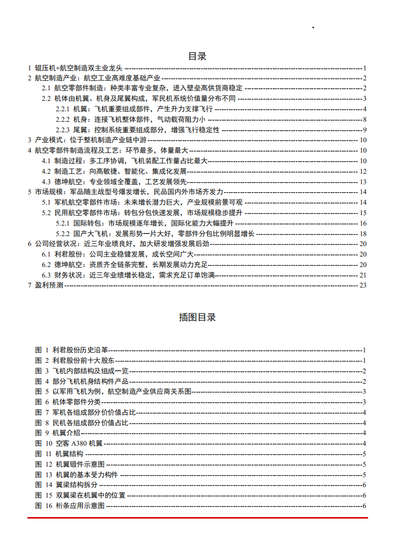 2021年航空制造产业现状与利君股份公司经验状况分析报告.pdf 第1页