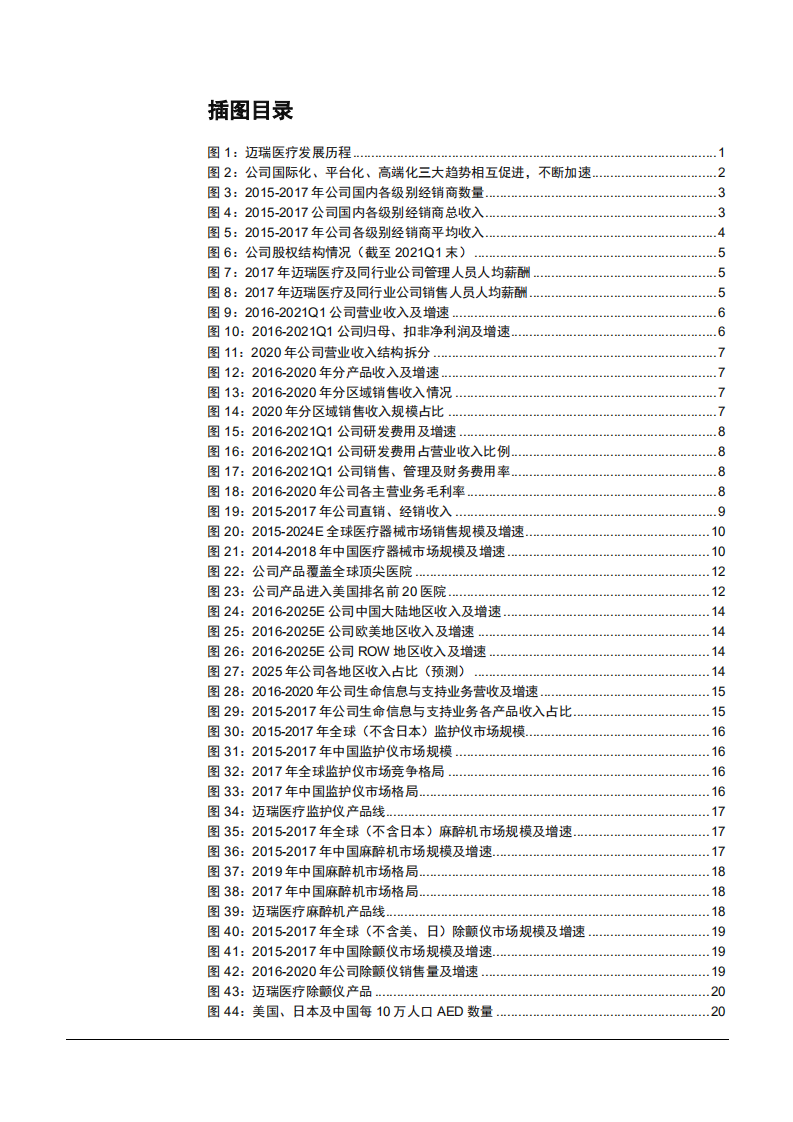 2021年迈瑞医疗公司竞争优势与三化趋势分析报告.pdf 第2页