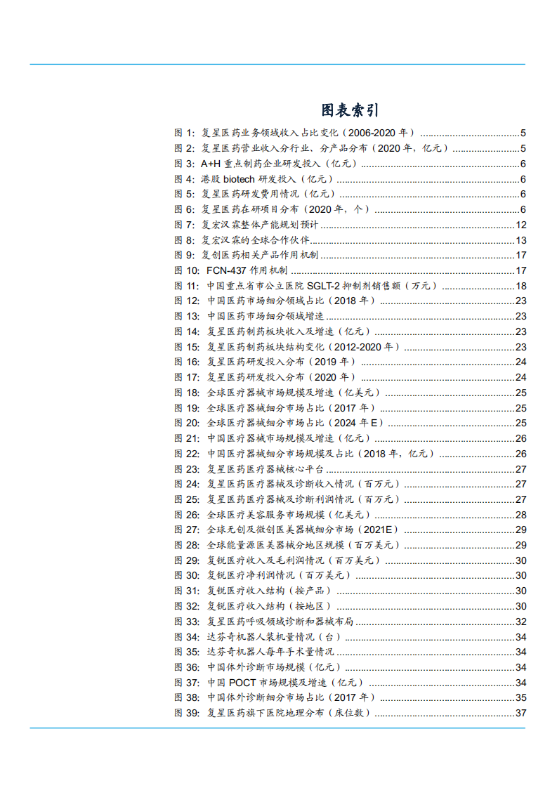 2021年器械市场发展空间与复星医药公司战略布局分析报告.pdf 第2页