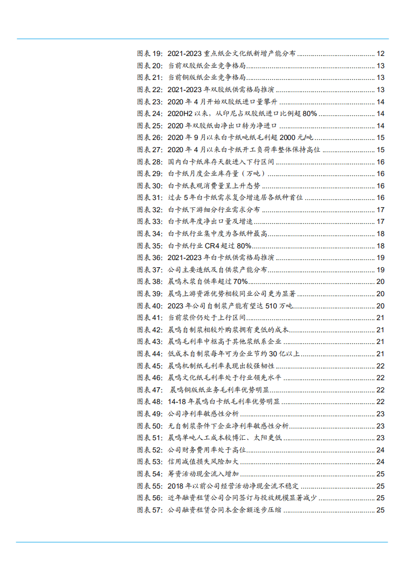 2021年晨鸣纸业公司一体化布局与盈利能力分析报告.pdf 第2页