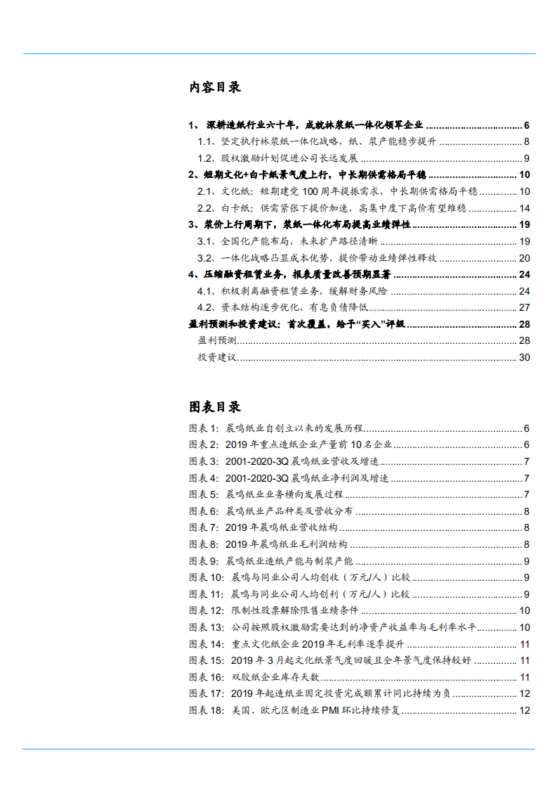 2021年晨鸣纸业公司一体化布局与盈利能力分析报告.pdf 第1页