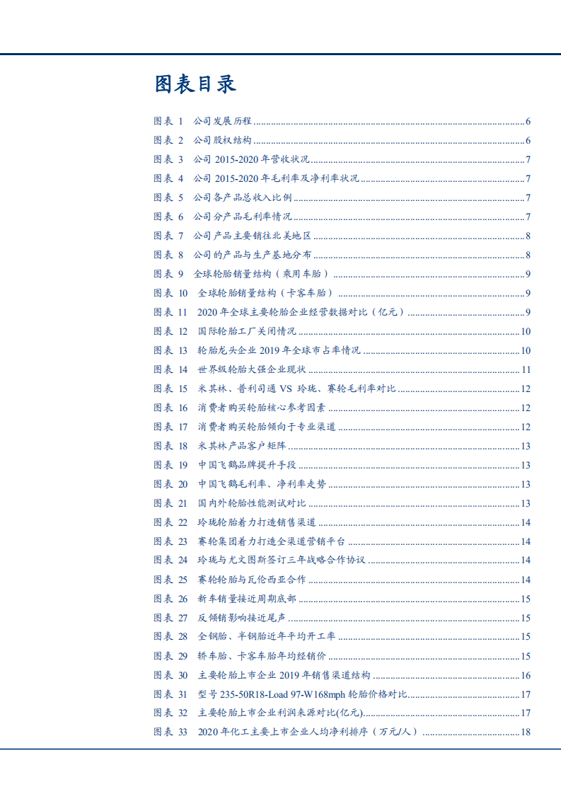 2021年轮胎企业格局与森麒麟公司盈利能力分析报告.pdf 第2页