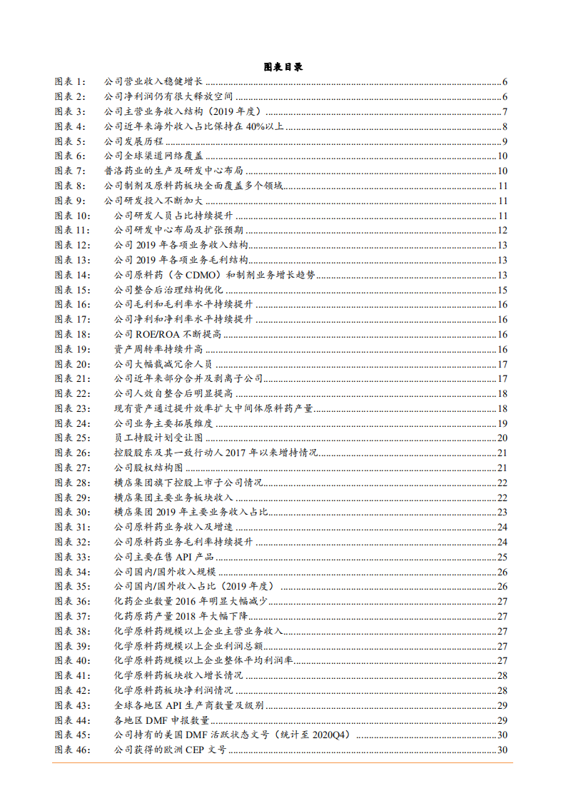2021年普洛药业公司原料药与制剂业务一体化分析报告.pdf 第2页