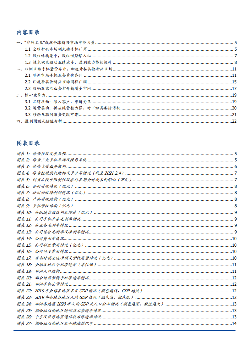 2021年 非洲市场手机市场与传音控股公司优势分析报告.pdf 第1页