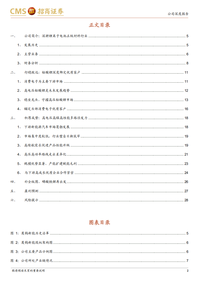 厦钨新能-高电压技术打造差异化竞争优势-220522.pdf 第2页