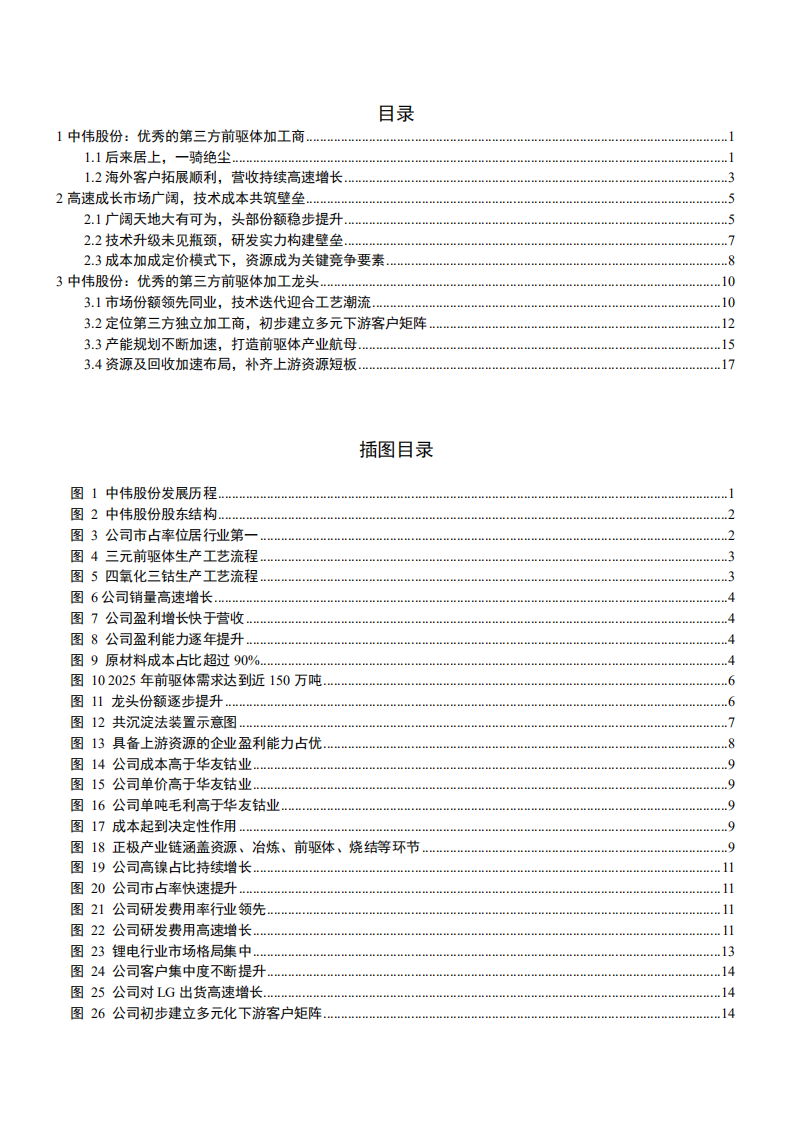 2021年第三方前驱体加工商中伟股份公司技术优势与业务布局分析报告.pdf 第1页