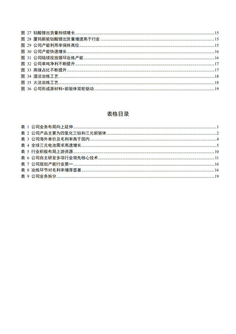 2021年第三方前驱体加工商中伟股份公司技术优势与业务布局分析报告.pdf 第2页