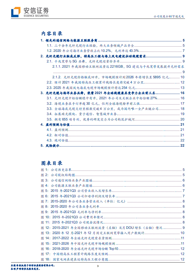 亨通光电-全球领先的光电线缆企业，海洋业务高速增长-220322.pdf 第3页