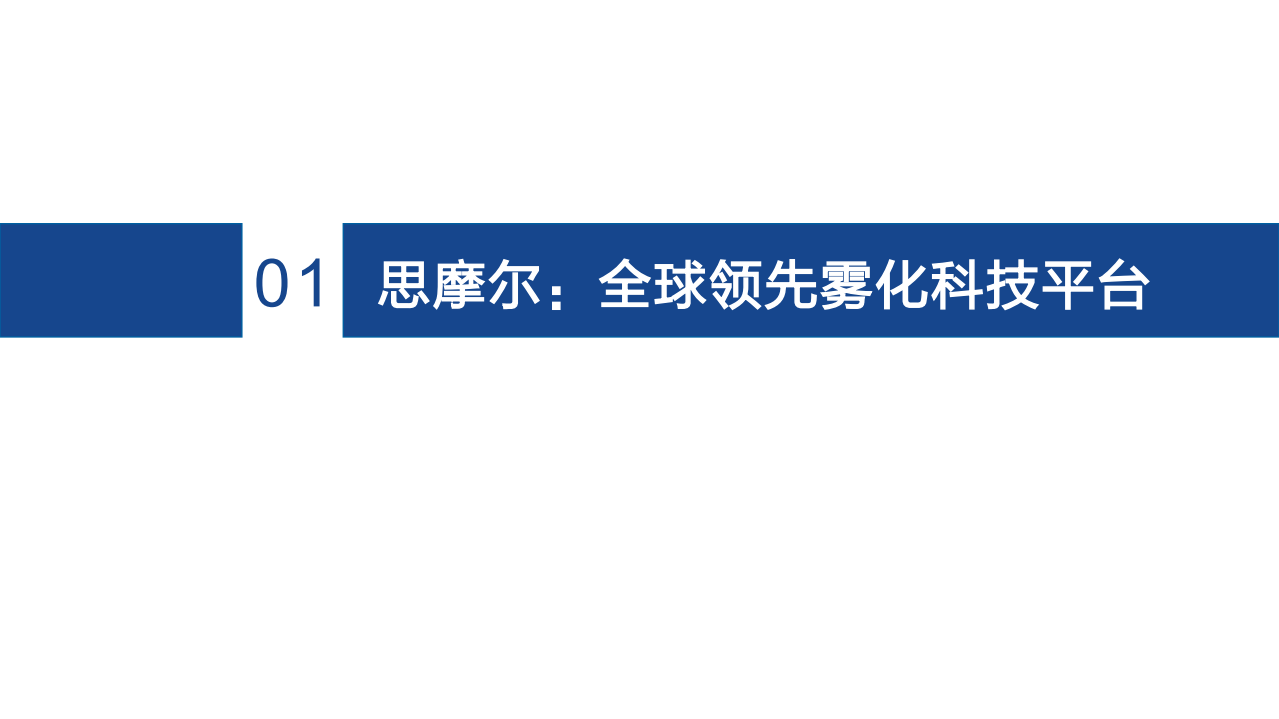 思摩尔国际-深度报告：专注雾化科技，引领行业变革-220526.pdf 第6页