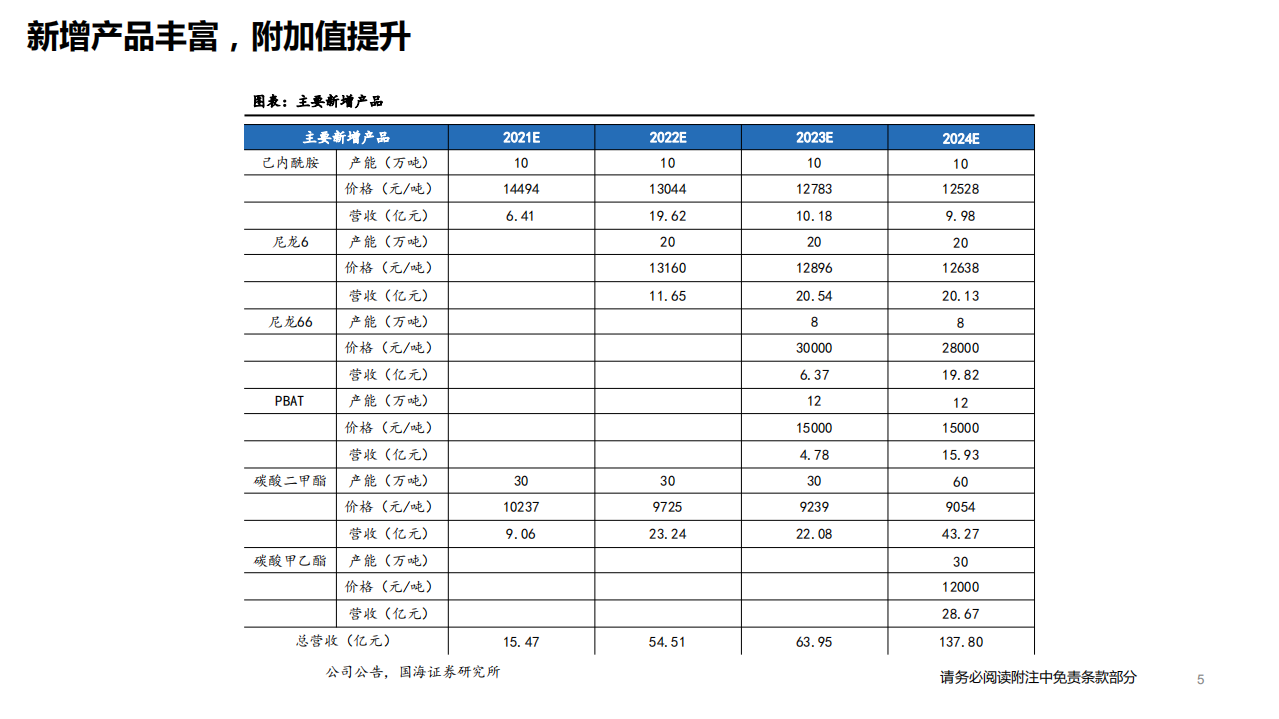 华鲁恒升-守正出奇，新十年再出发-220216.pdf 第5页