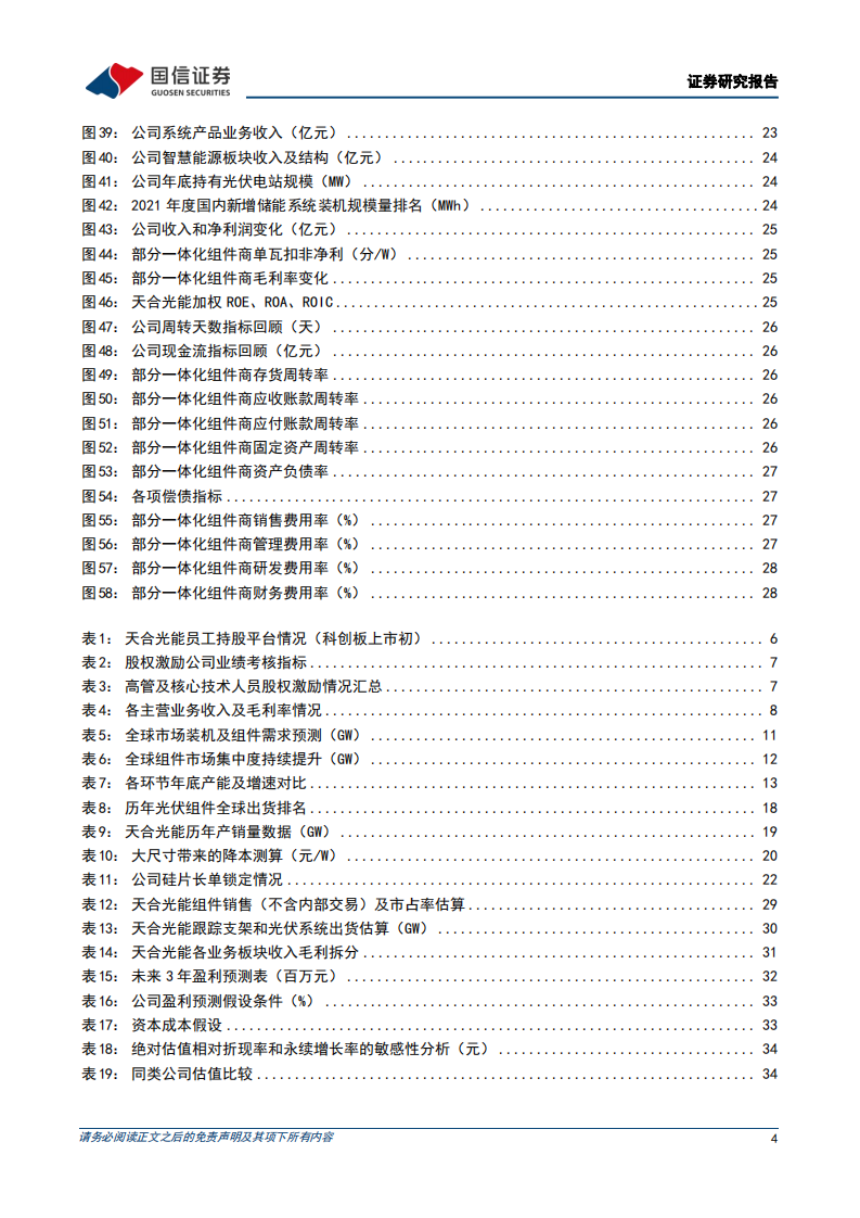 天合光能-210组件领军企业，多元化业务协同发展-220519.pdf 第4页