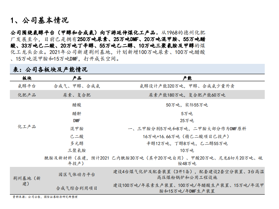 2021年华鲁恒升公司竞争优势与核心产品分析报告.pdf 第2页