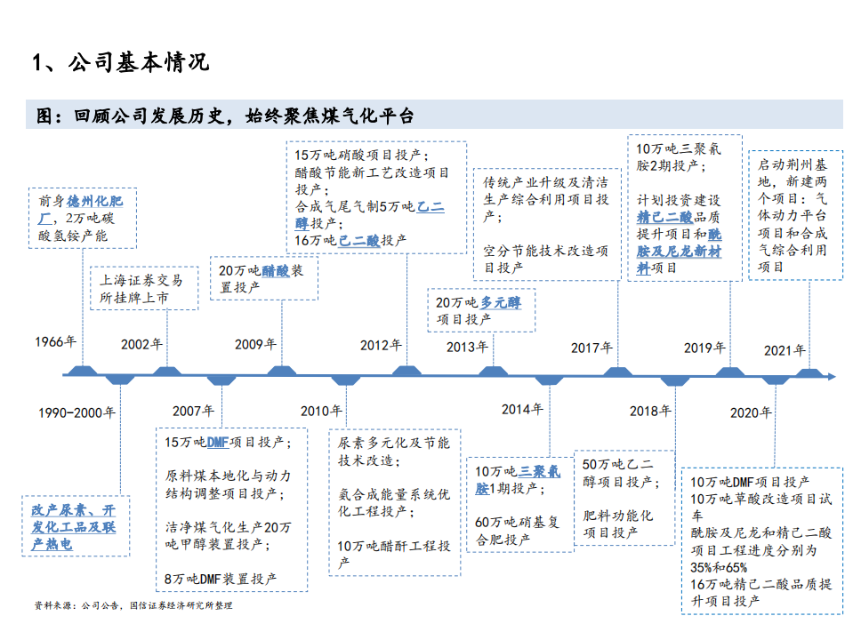 2021年华鲁恒升公司竞争优势与核心产品分析报告.pdf 第1页